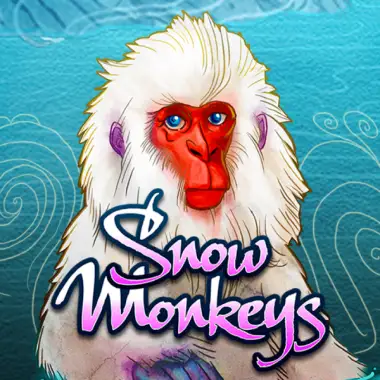 Snow Monkeys